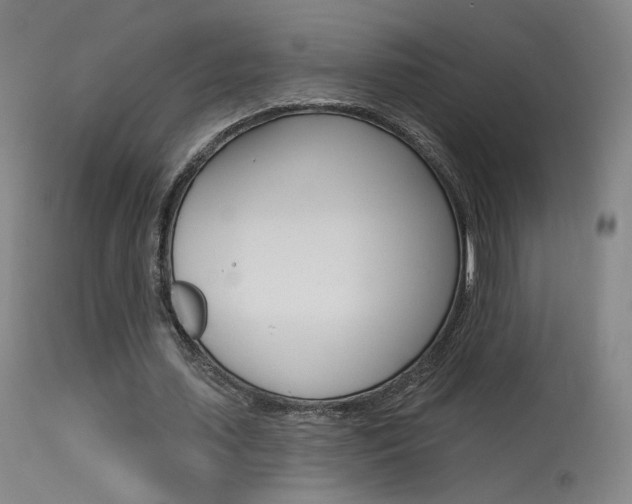 X0000115630627200911101119