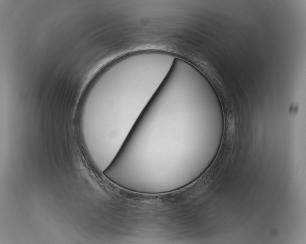 X0000115630628200911101119