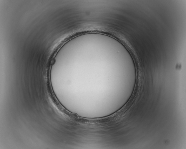 X0000115630629200911101119