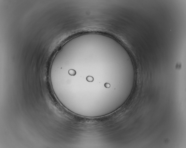 X0000115630631200911101119