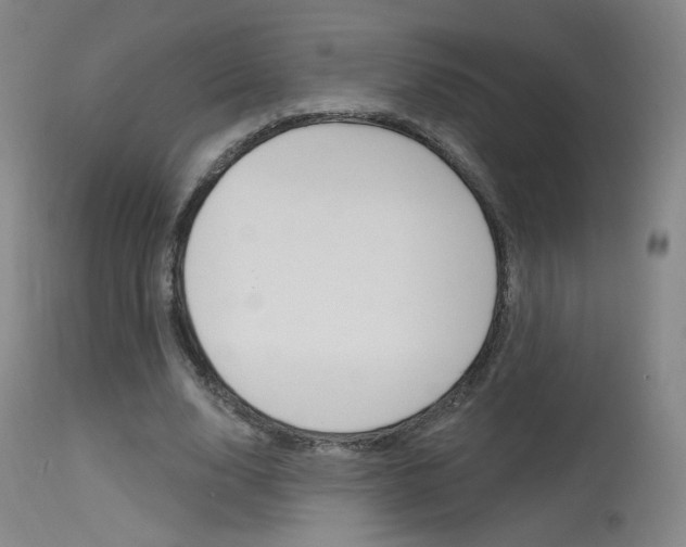 X0000115630632200911101119