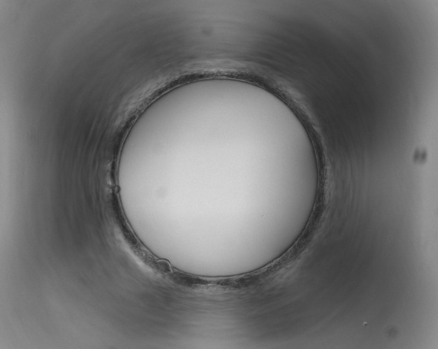 X0000115630633200911101119