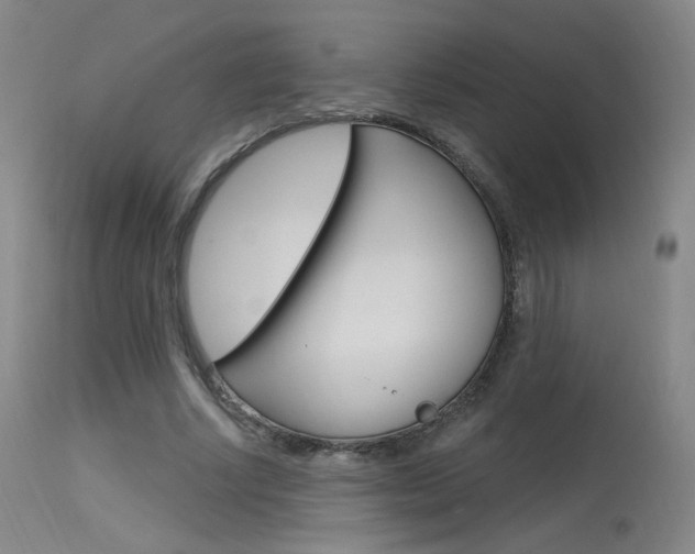 X0000115630634200911101119