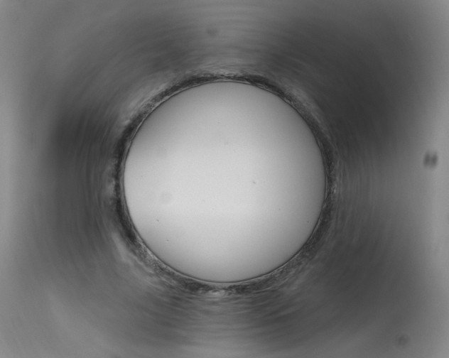 X0000115630635200911101119
