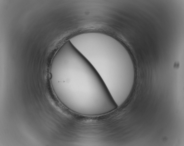 X0000115630637200911101119