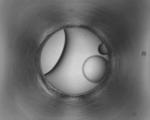 X0000115630638200911101119