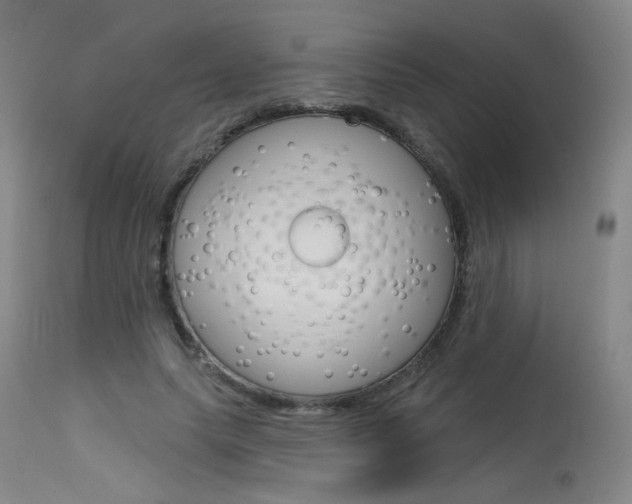 X0000115630639200911101119