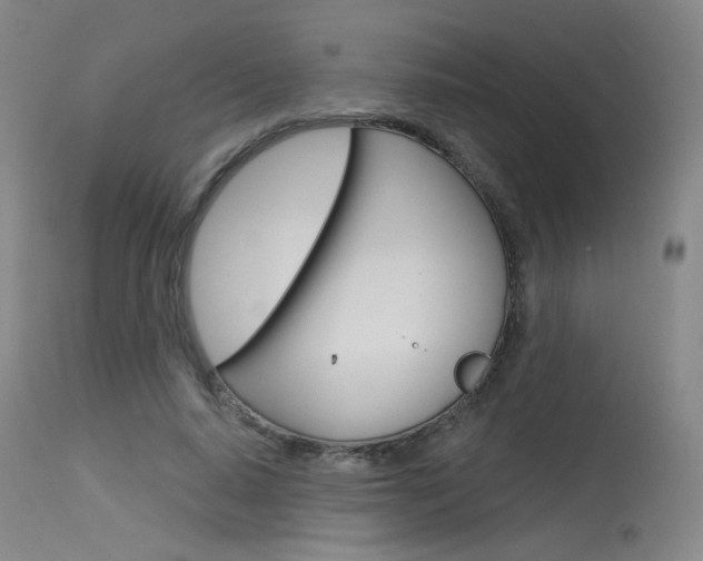 X0000115630640200911101119