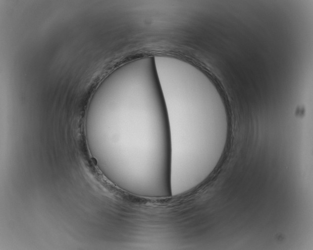 X0000115630641200911101119