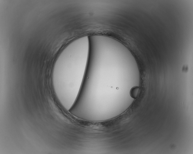 X0000115630642200911101119