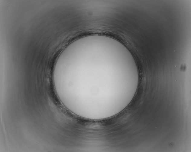 X0000115630643200911101119