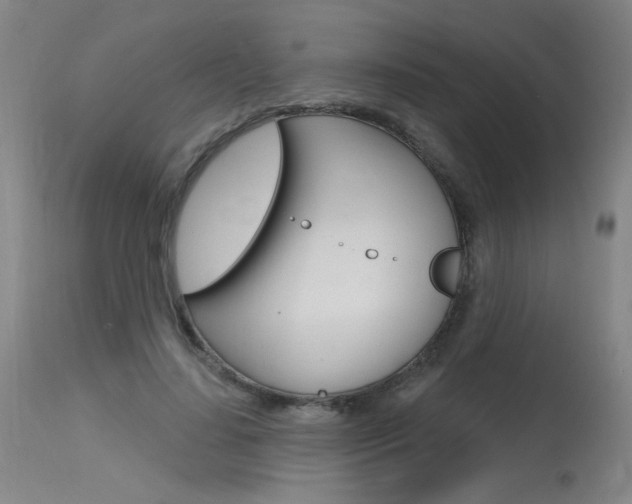 X0000115630644200911101119