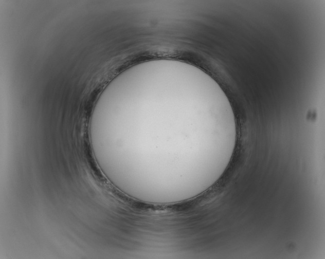 X0000115630645200911101119