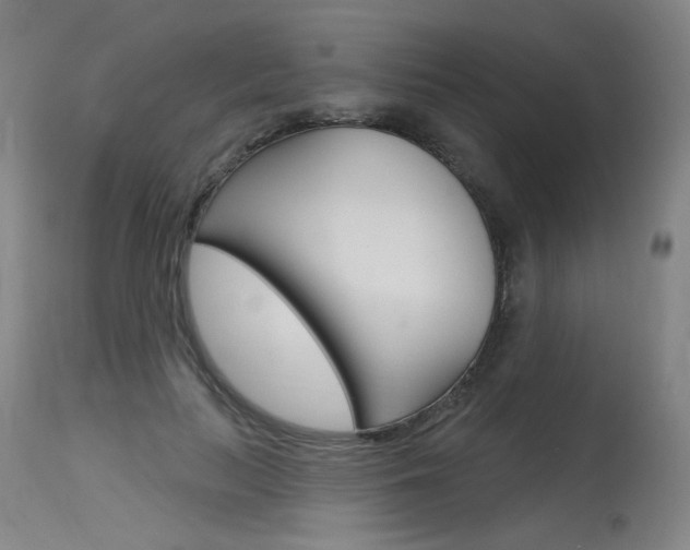 X0000115630647200911101119