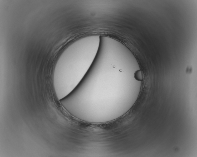 X0000115630648200911101119
