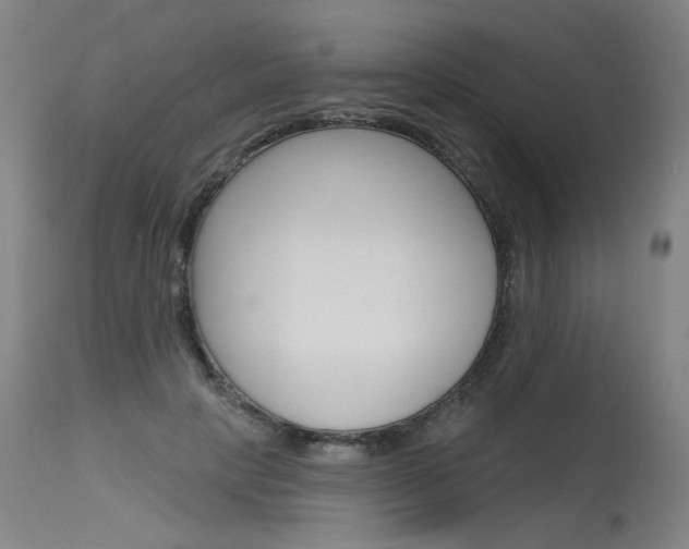 X0000115630649200911101119