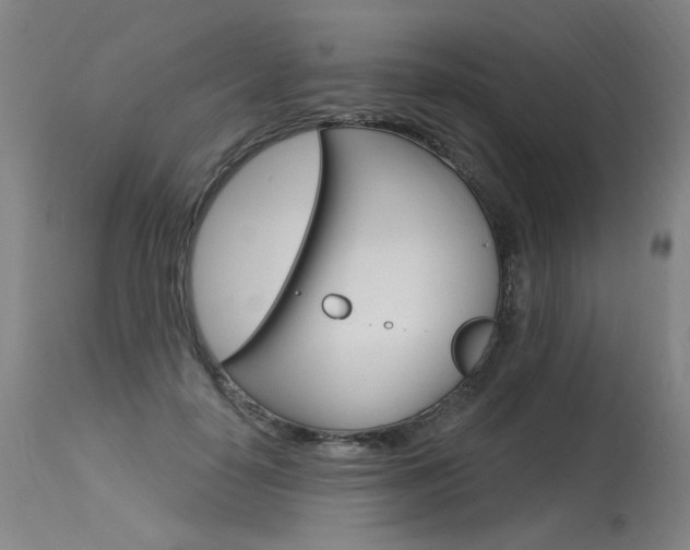 X0000115630650200911101119