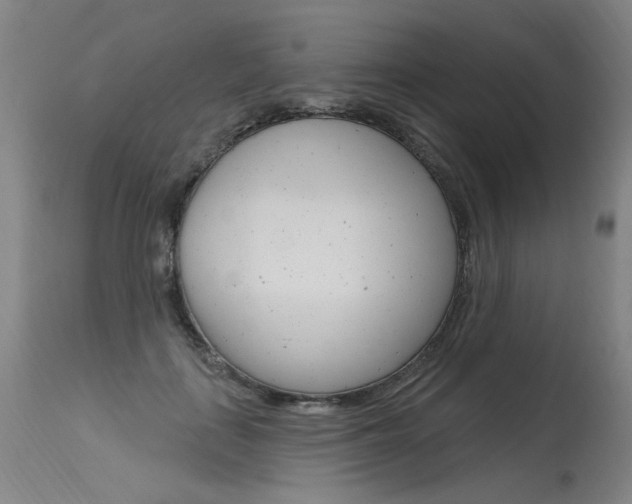 X0000115630651200911101119