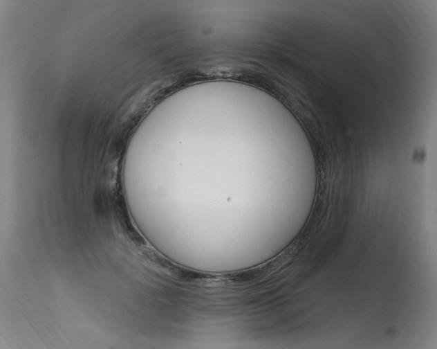 X0000115630652200911101119