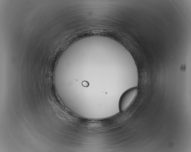 X0000115630653200911101119
