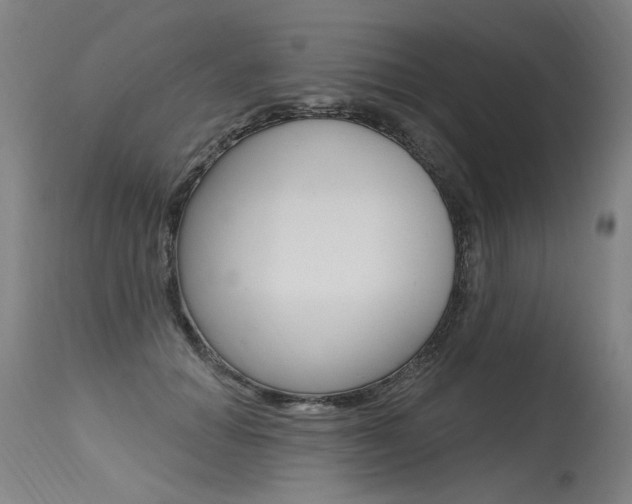 X0000115630654200911101119