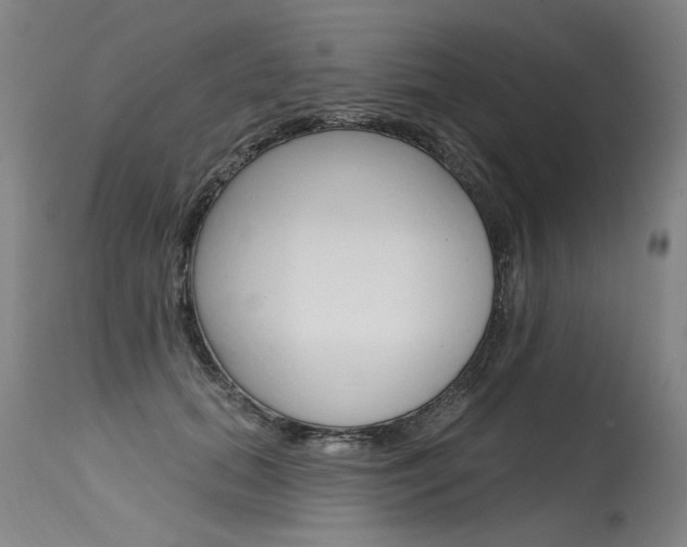 X0000115630655200911101119