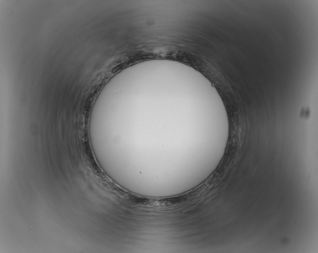 X0000115630656200911101119