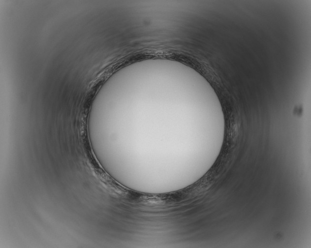 X0000115630658200911101119