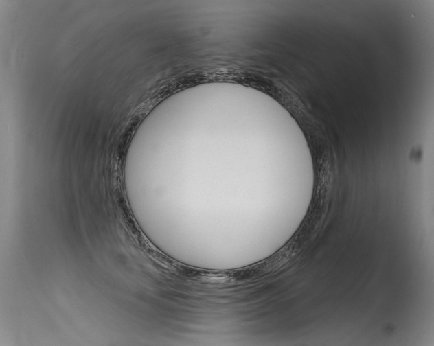 X0000115630659200911101120