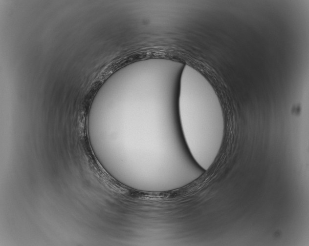X0000115630661200911101120