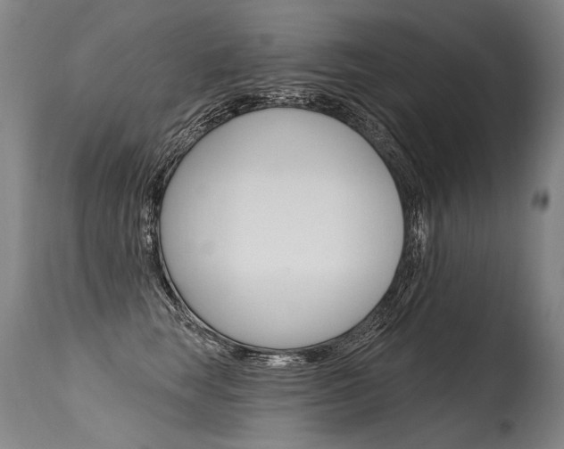 X0000115630663200911101120