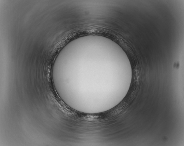 X0000115630664200911101120