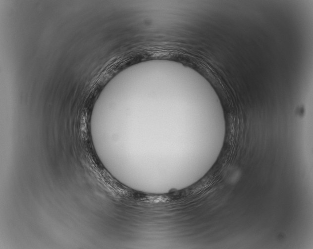 X0000115630667200911101120