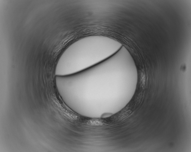 X0000115630668200911101120