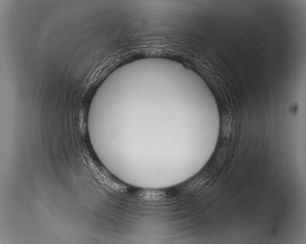 X0000115630670200911101120