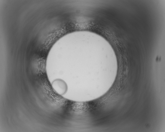 X0000115630672200911101120