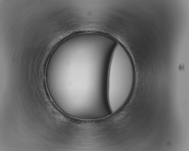 X0000115630673200911101119