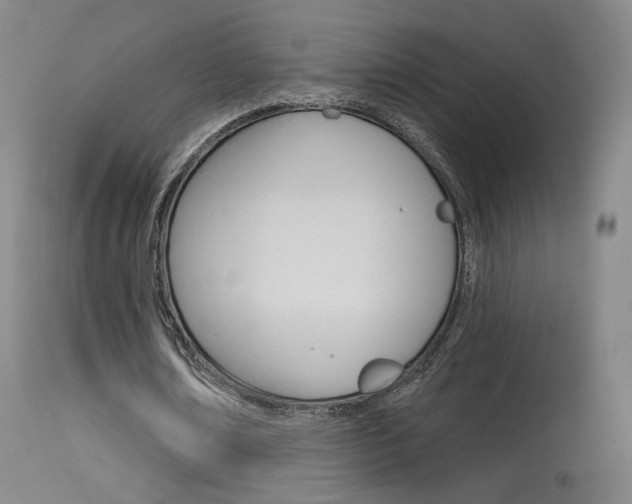 X0000115630674200911101119