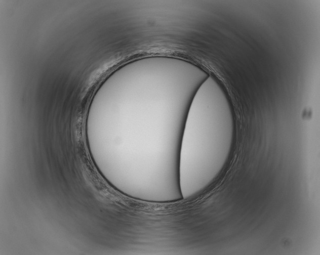 X0000115630675200911101119