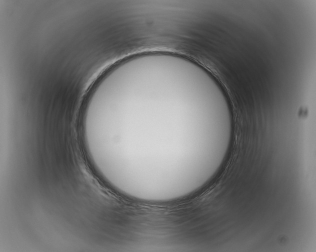X0000115630676200911101119