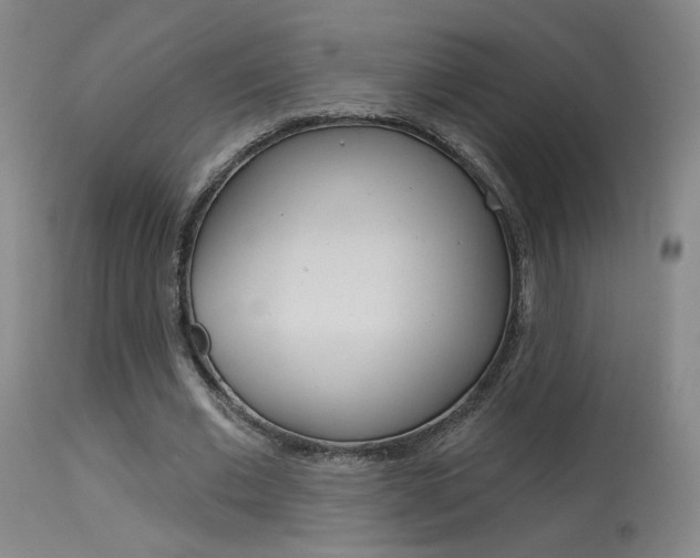 X0000115630677200911101119