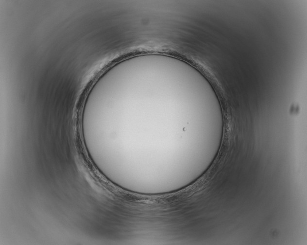 X0000115630678200911101119