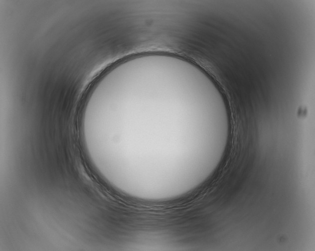 X0000115630680200911101119