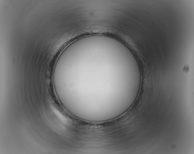 X0000115630683200911101119