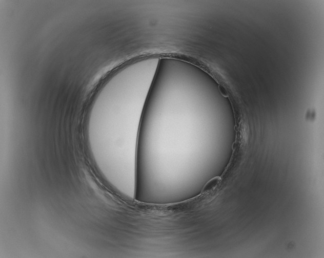 X0000115630684200911101119