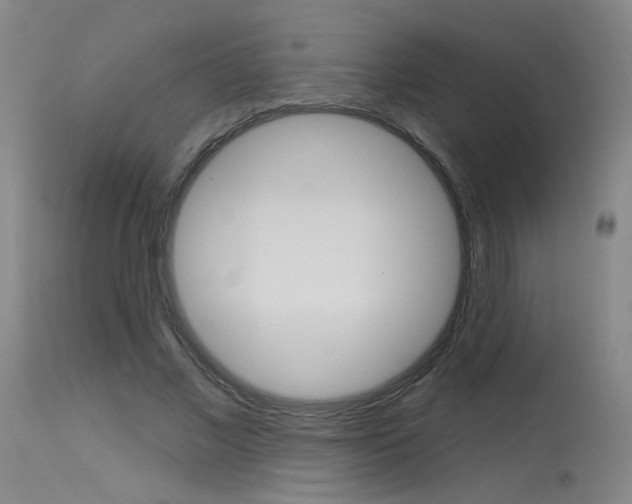X0000115630685200911101119