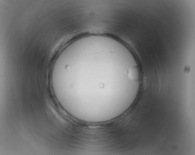 X0000115630686200911101119