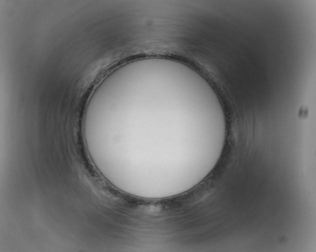 X0000115630687200911101119