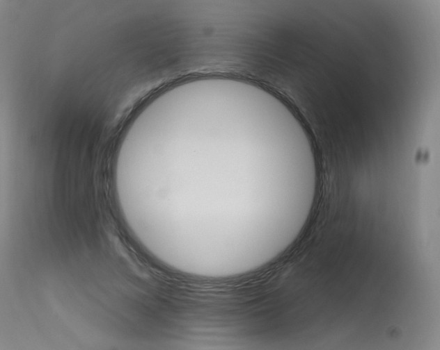 X0000115630688200911101119