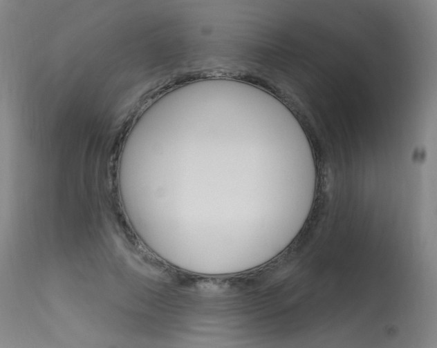 X0000115630690200911101119